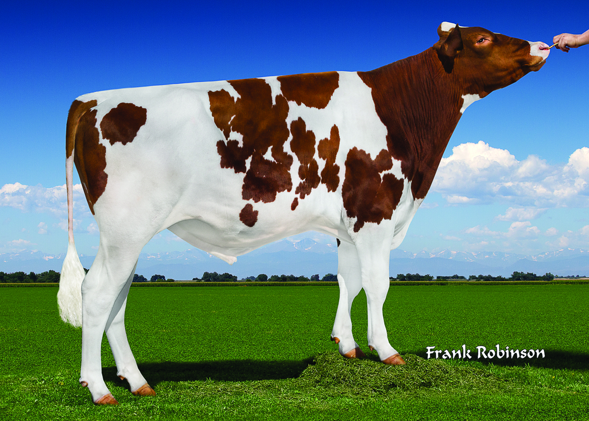 US000072353457 RAGERRED